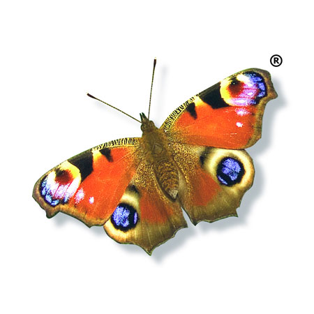 May 2007 - Trade catalogue added to
