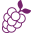 Grape Seed Extract