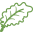 Zeaxanthin